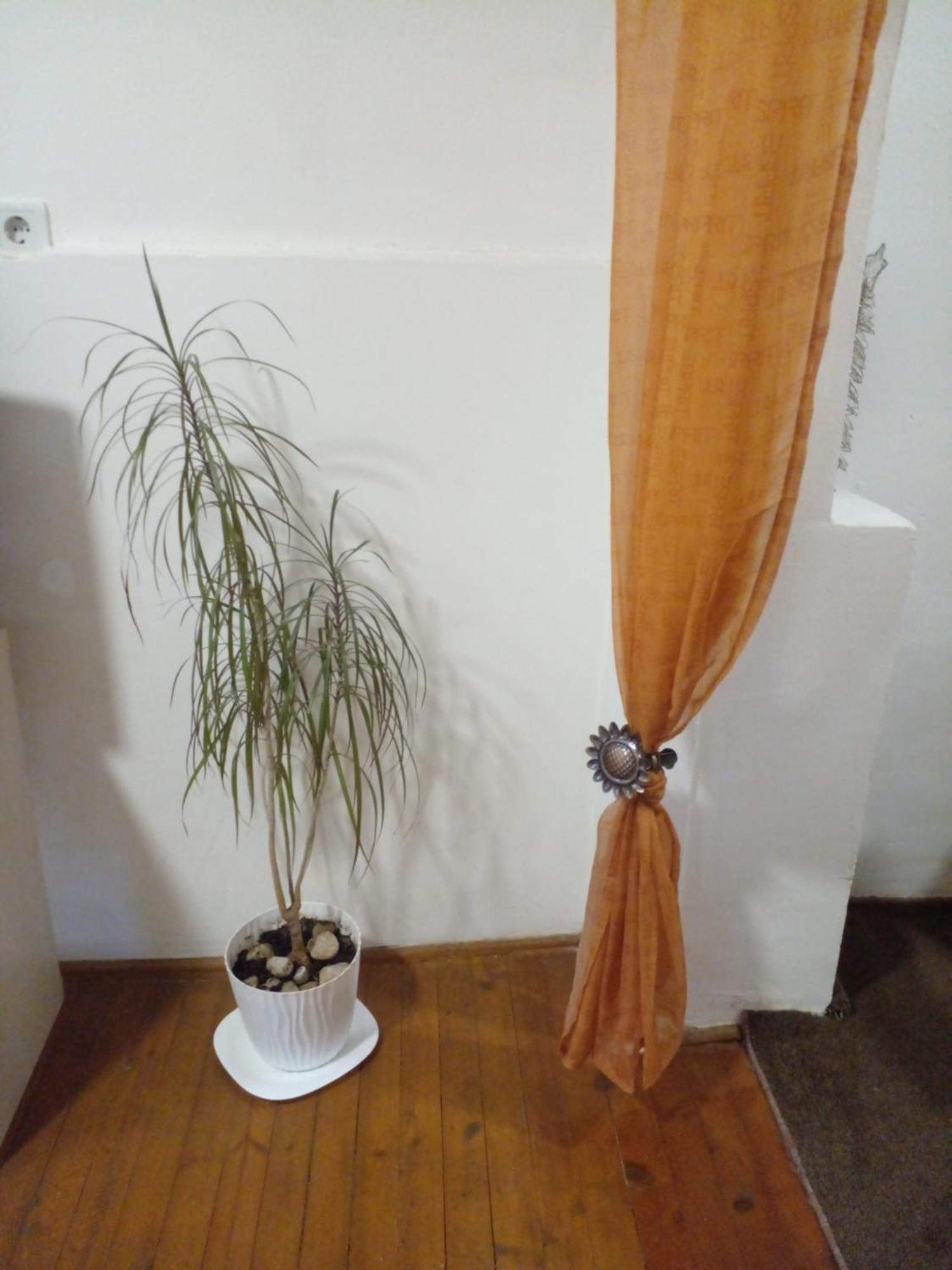 Apartamento Q Tak